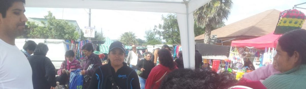 Feria Saludable en Pumanque