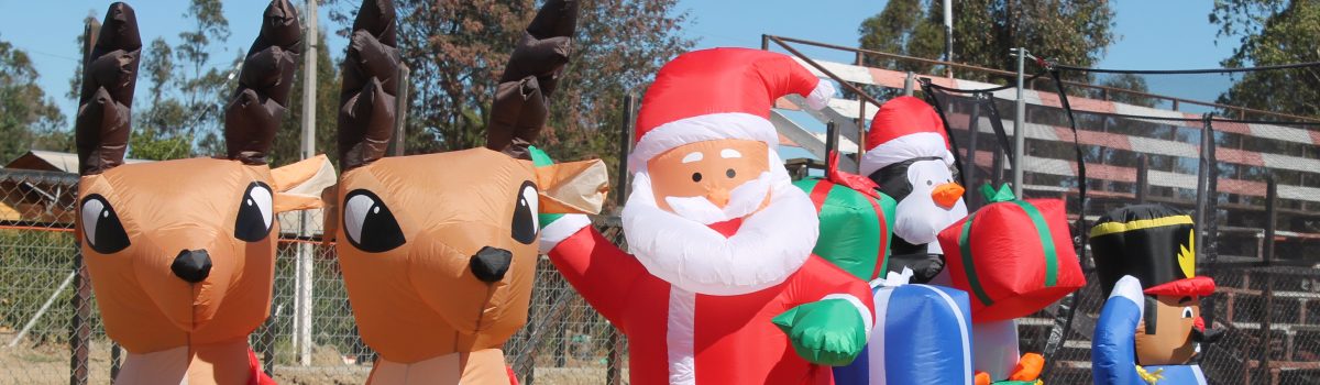 LOS NIÑOS Y NIÑAS DE LA COMUNA DE PUMANQUE RECIBIERON FELICES REGALOS DEL VIEJITO PASCUERO.