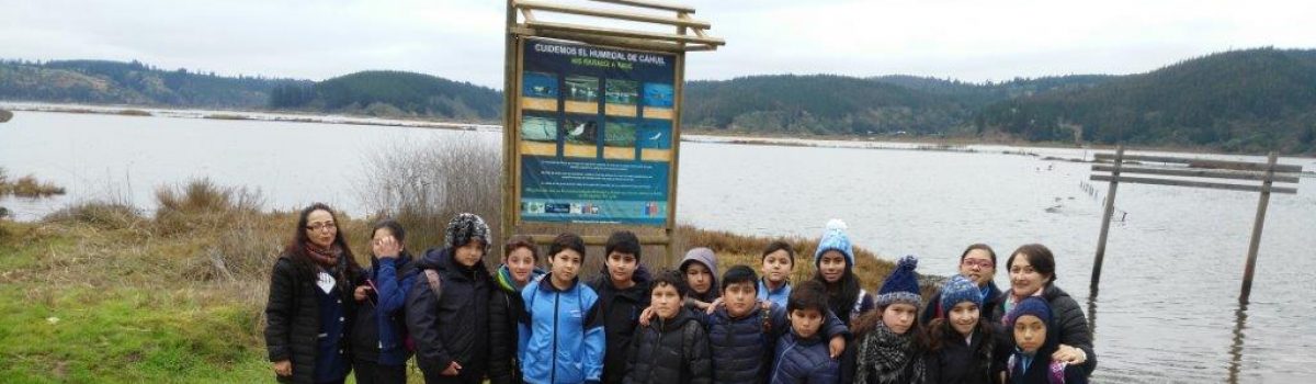 EN SEMANA DE LA EDUCACIÓN ARTÍSTICA ALUMNOS DE 6° BÁSICO DE LA ESCUELA DE PUMANQUE REALIZAN CIRCUITO CULTURAL A PICHILEMU.