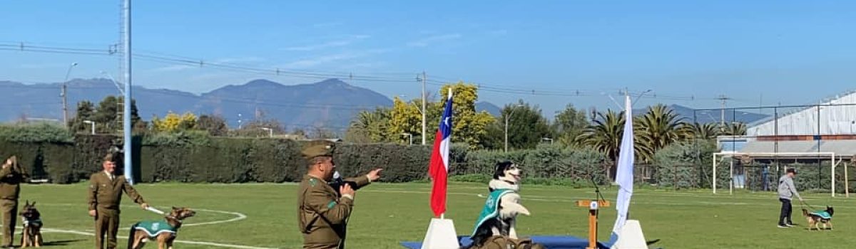 Exitosa presentación de la Escuela de Adiestramiento Canino de Carabineros en Pumanque